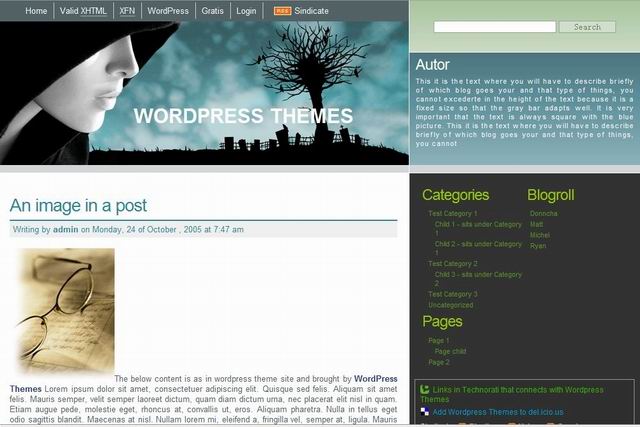 free 3 cloumn wordpress business themes