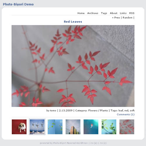 free wordpress photo theme