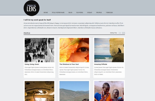 lens wordpress theme