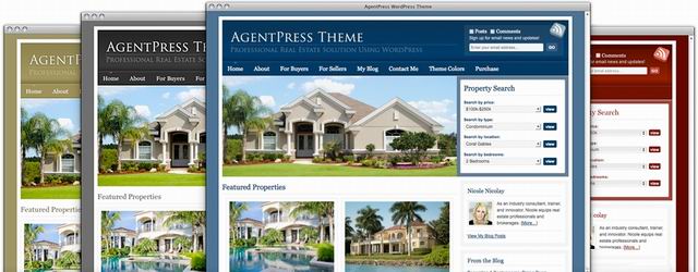 professional Real Estate wordpress Themes picture