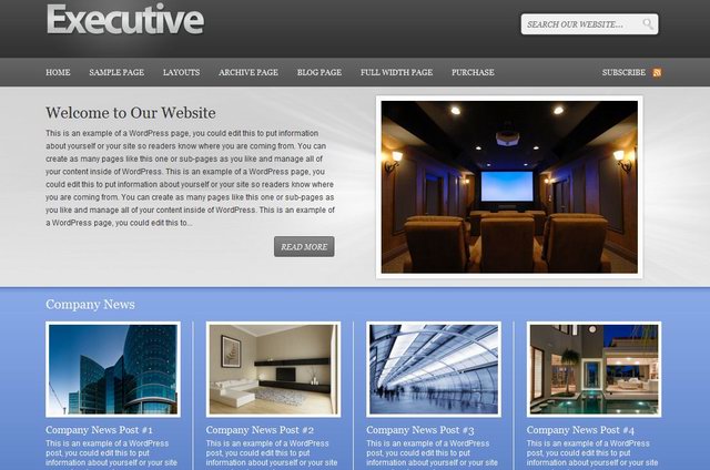 Executive WordPress Theme  for insurance websites