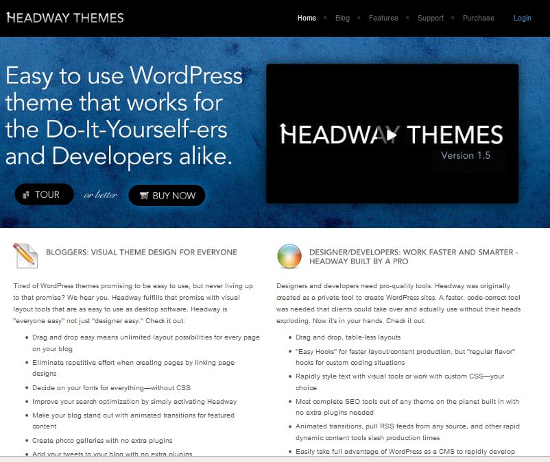 company cms wordpress theme