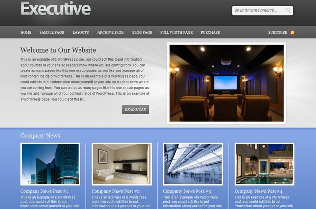 professional corporate wordpress theme