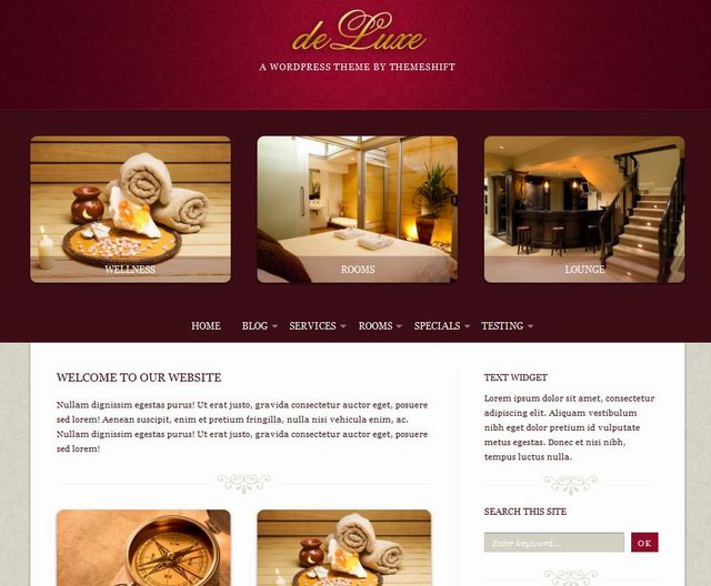 cms wordpress life store theme deluxe