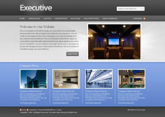 Executive 1.0 Premium WordPress Theme