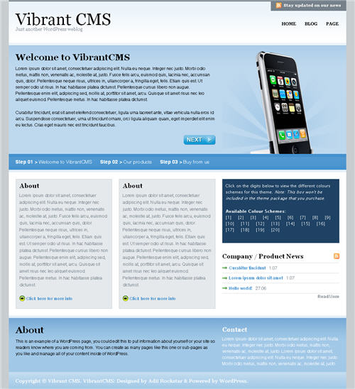 Vibrant CMS WordPress Theme