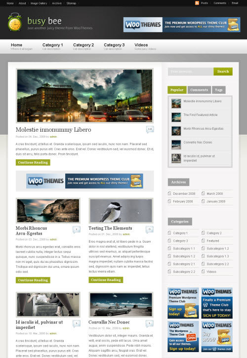 Busy Bee WordPress Theme