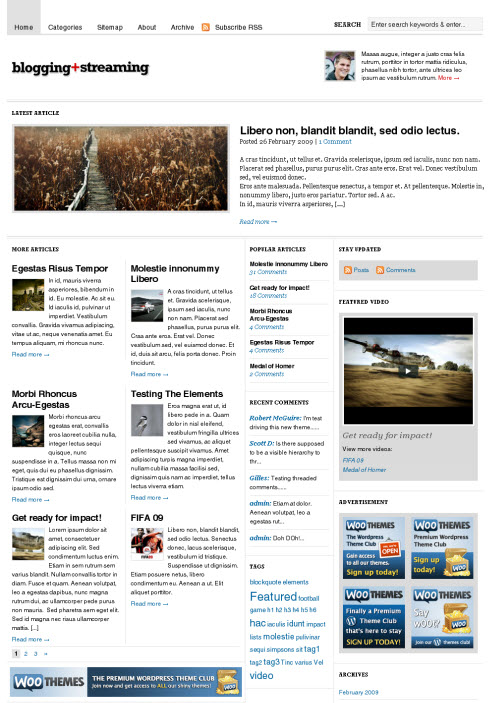 bloggingstream wordpress theme