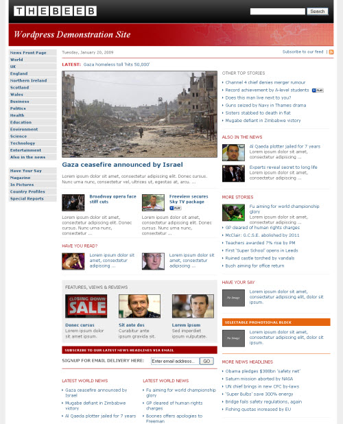 the beeb wordpress theme