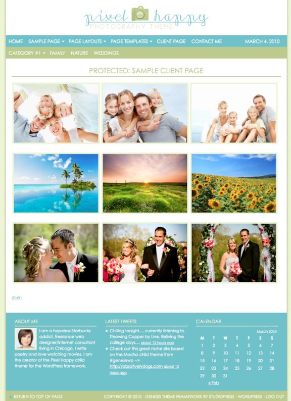 photo wordpress theme for photobloggers and family blogs