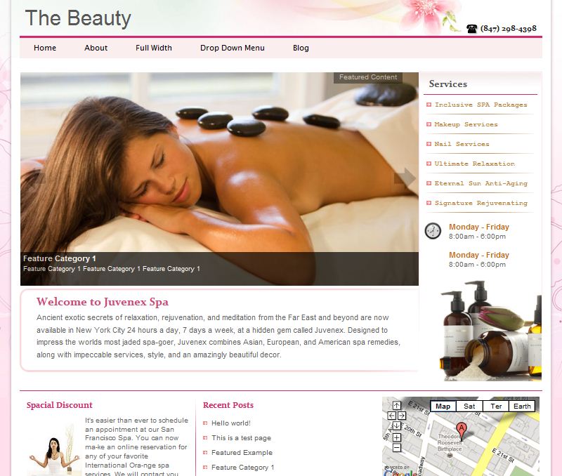 spa wordpress theme picture