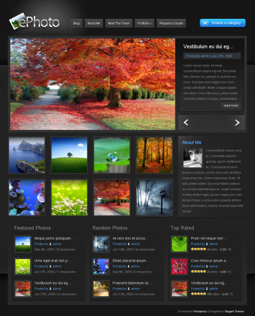 ephoto wordpress theme