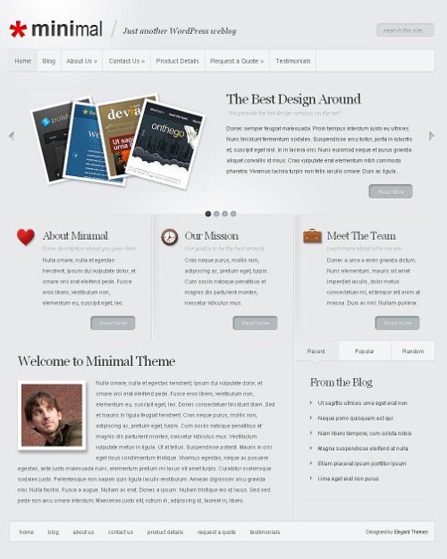 Elegant Themes Minimal picture