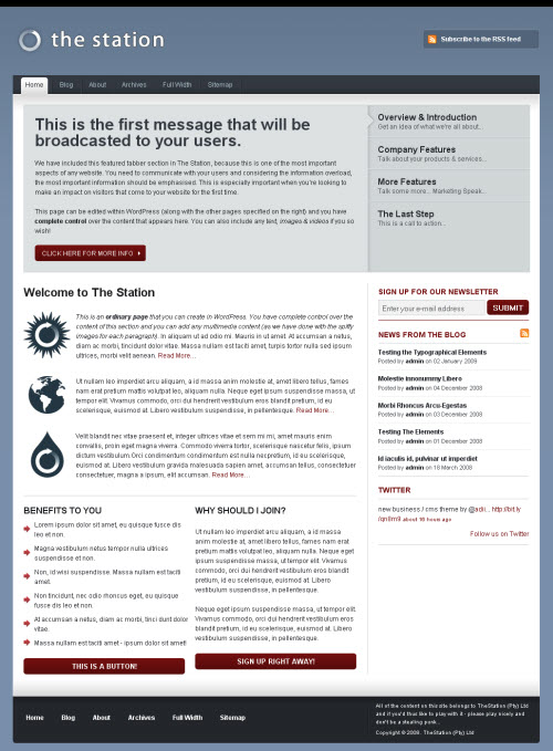 Simple Clean 2 Columns CMS WordPress Business Theme The Station   picture