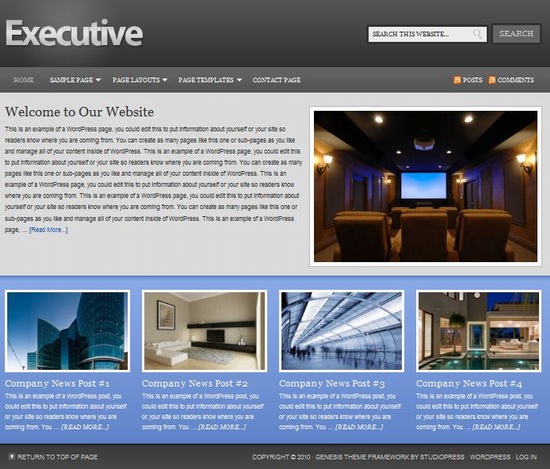 Corporate WordPress Template Executive picture