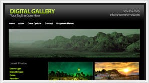 iThemes Digital Gallery WordPress Theme