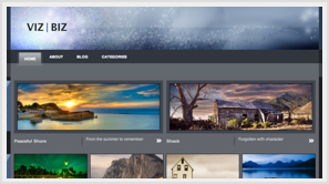 iThemes Viz Biz WordPress Theme