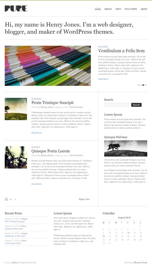 pure wordpress theme