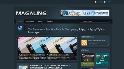 Free-WordPress-Theme-Magaling