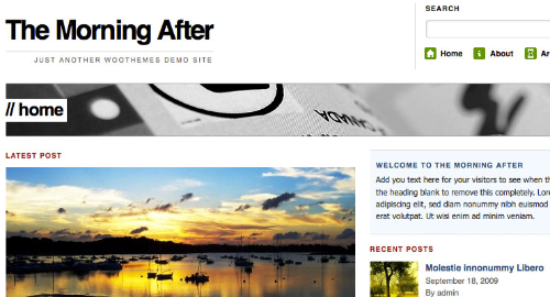 Free-WordPress-Theme-WooThemes – The Morning After