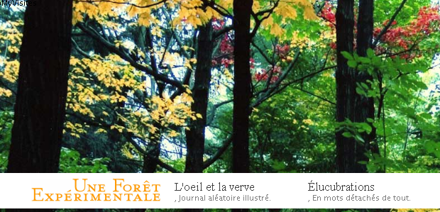 Une-foret-Experimentale