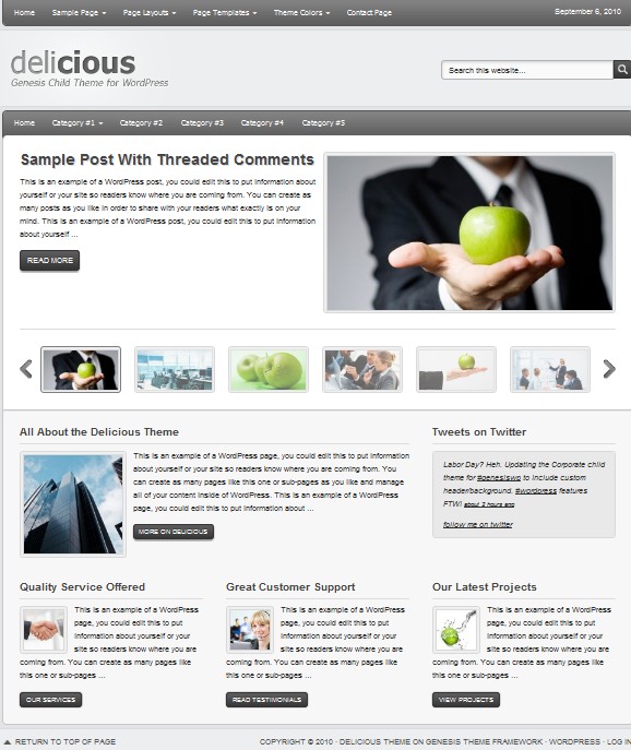 clean cms wordpress themes