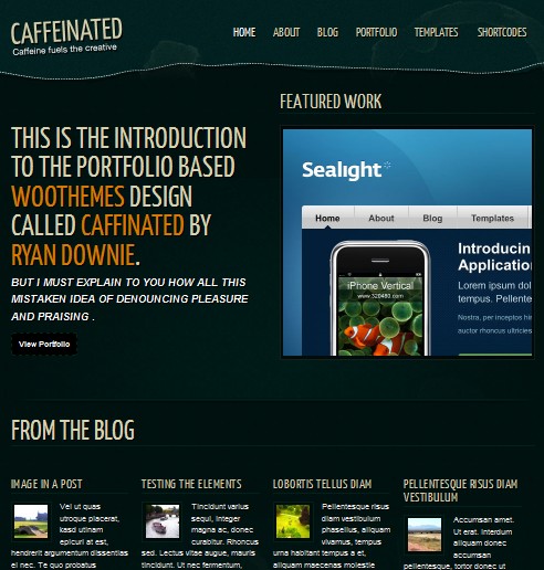 personal portfolio wordpress theme