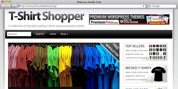 Best eCommerce WordPress Themes