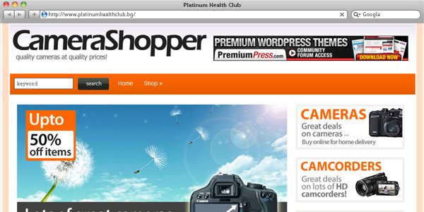Best eCommerce WordPress Themes