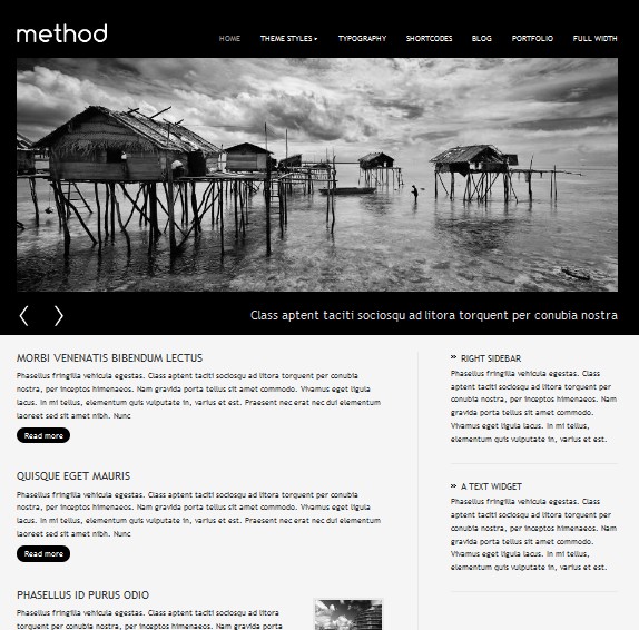 method cms wordpress theme