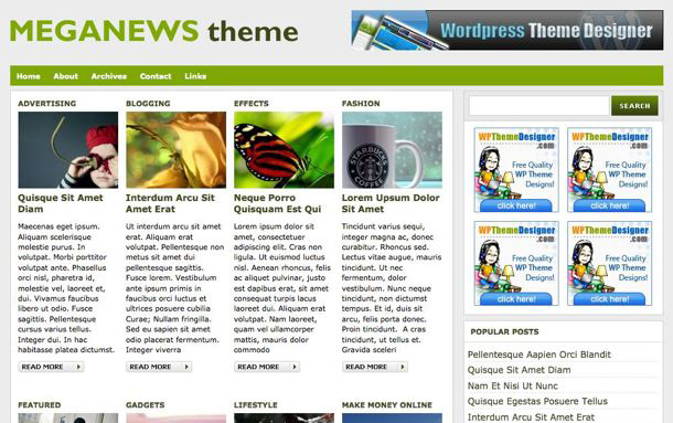 free-wordpress-magazine-theme-30