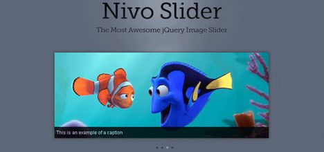 nivo_slider