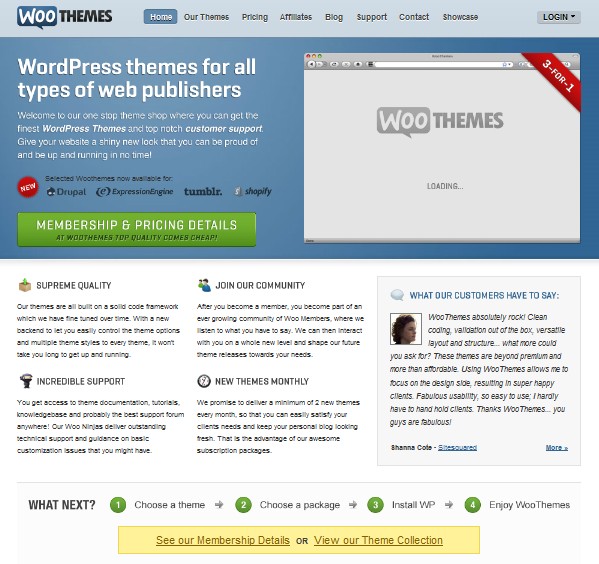 woothemes review