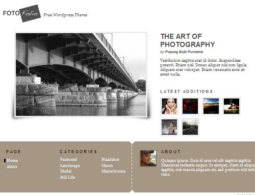 free portfolio wordpress themes