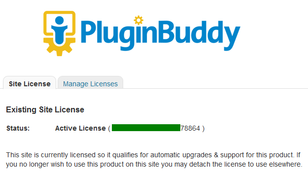 Best wordpress backup plugin: backupbuddy