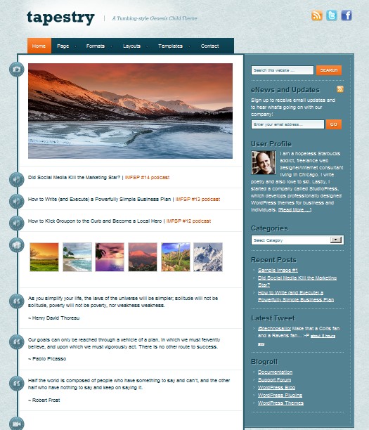 blogging wordpress theme