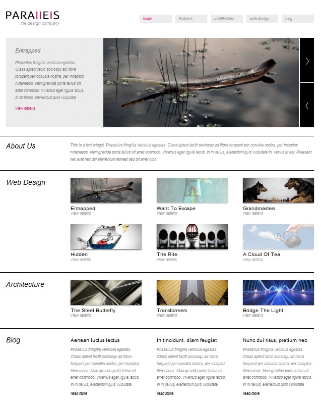 wordpress portfolio theme