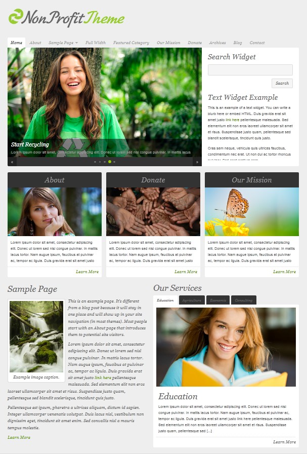 clean non profit wordpress cms themes