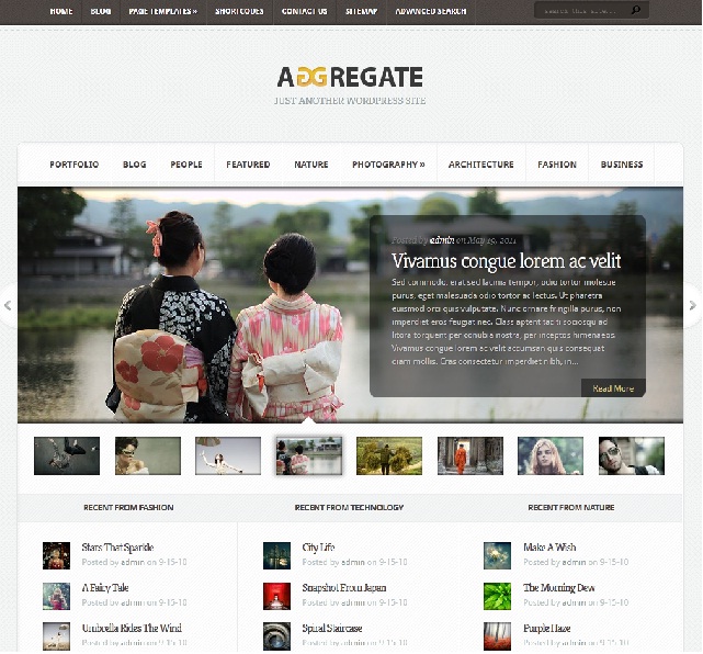 magazine wordpress theme 2011