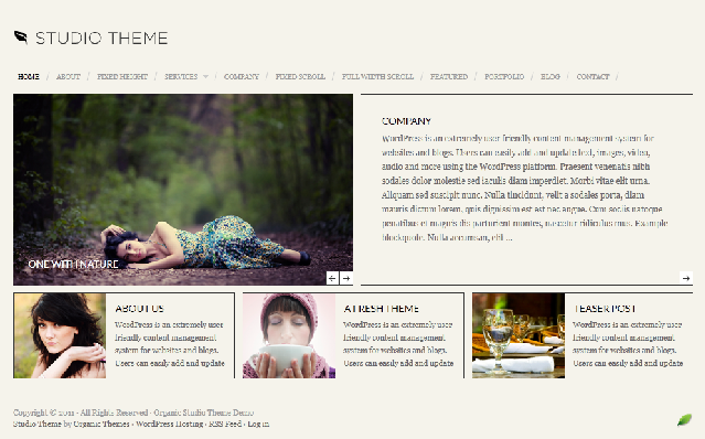 studio wordpress theme