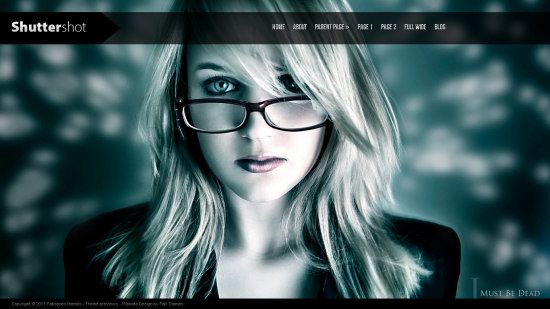 Shuttershot WordPress Theme