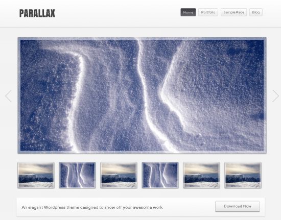 Parallax WordPress Theme