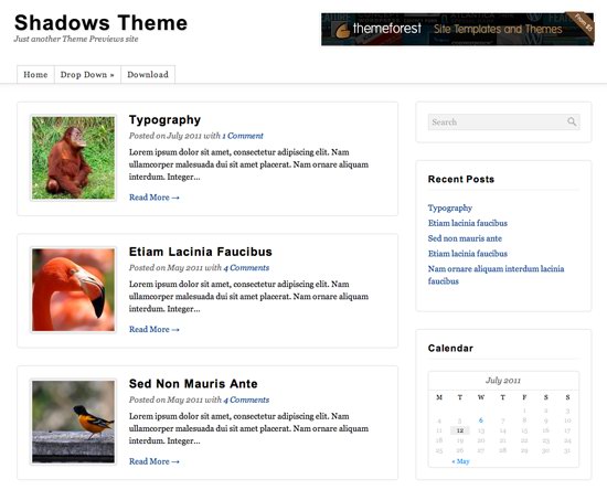 Shadows WordPress Theme