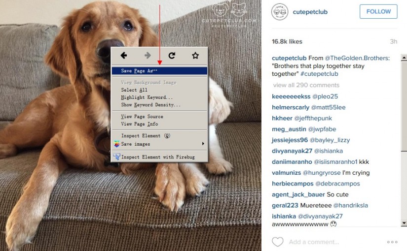 how to save images from instagram