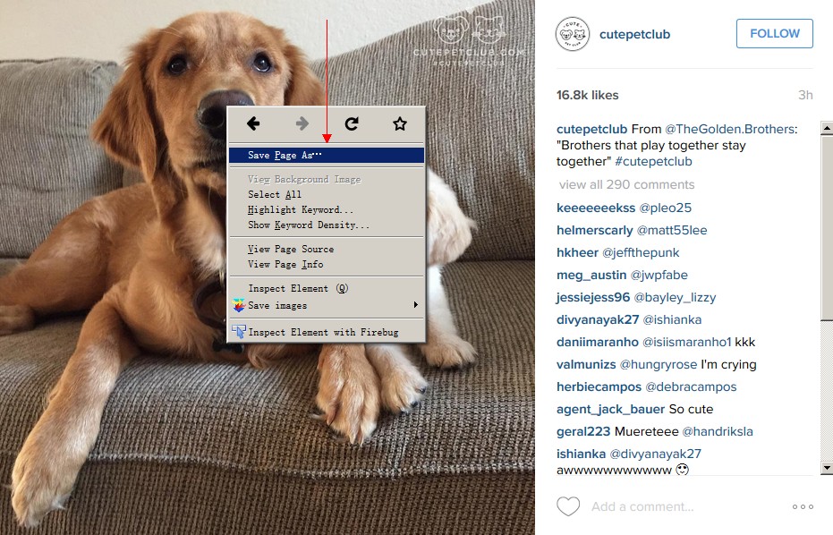 how to save images from instagram